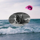 hellenandbook avatar