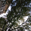 hellenicpagan7 avatar