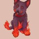 hellhound-from-hell avatar