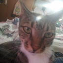 helllllloooooooo avatar