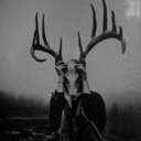 hello-dear-agony avatar