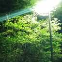 hello-fantasy-stuff avatar