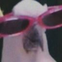 hello-myzeroworld avatar