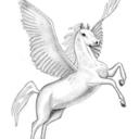 hello-pegasus-blog avatar