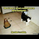 hello-there-my-friends avatar