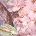 helloapplepie avatar