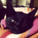 hellochalalat avatar