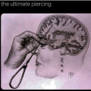 helloclownkitty avatar