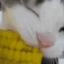 hellodolleyes avatar