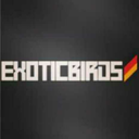 helloexoticbirdz avatar