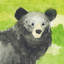 helloiamabear avatar