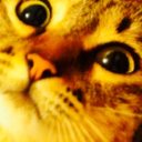 helloimnotstalking avatar