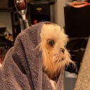 helloitisrach avatar