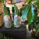 helloitsmebean14 avatar