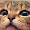 helloitsmeeee avatar