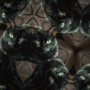 hellokaleidocat avatar