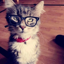 hellorantcasey avatar