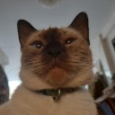 hellosmind avatar