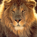 hellosunshine33 avatar