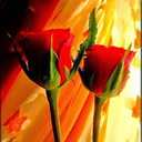 hellotenalove avatar