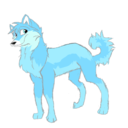 hellothebluewolfuniverse-blog avatar