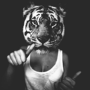 hellotigers-blog avatar