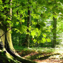 hellountitledandrandom avatar