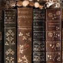 hellowhisperingstars avatar