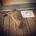 hellurrritsme avatar