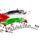 help-family-gaza0 avatar