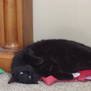 help-i-am-drowning avatar