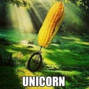 help-i-am-obssessed avatar