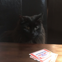 help-im-stuck-please-help avatar