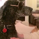 help-what-do-i-name-my-blog avatar