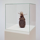 hemingwayscatwillie avatar