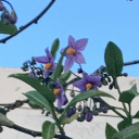 hemingwhat-blog avatar