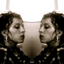 hempforrest-blog-blog avatar