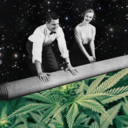 hemppprincess avatar