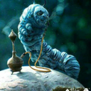 henrythehermitherpetologist avatar