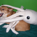 hentai-is-culture-and-religion avatar