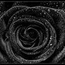 her-world-life-dreams avatar