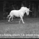 herarbiterprincess avatar