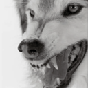 herbalistextraordinaire avatar