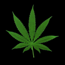 herbcentral-blog avatar