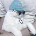 herbokagulerim avatar