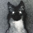 herbologyprofessor avatar