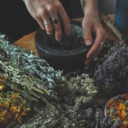 herbs--andsuch avatar