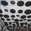 herbsnotspices avatar