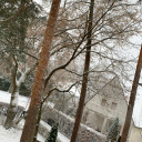 herbstatmosphaere avatar