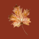 herbstbysilbrig avatar